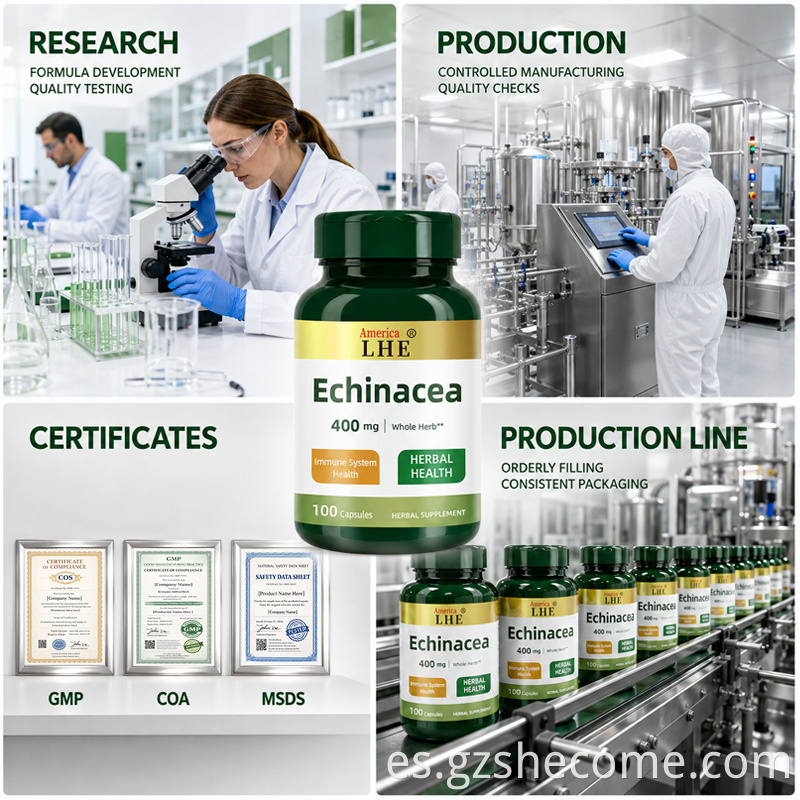 Echinacea Capsules10